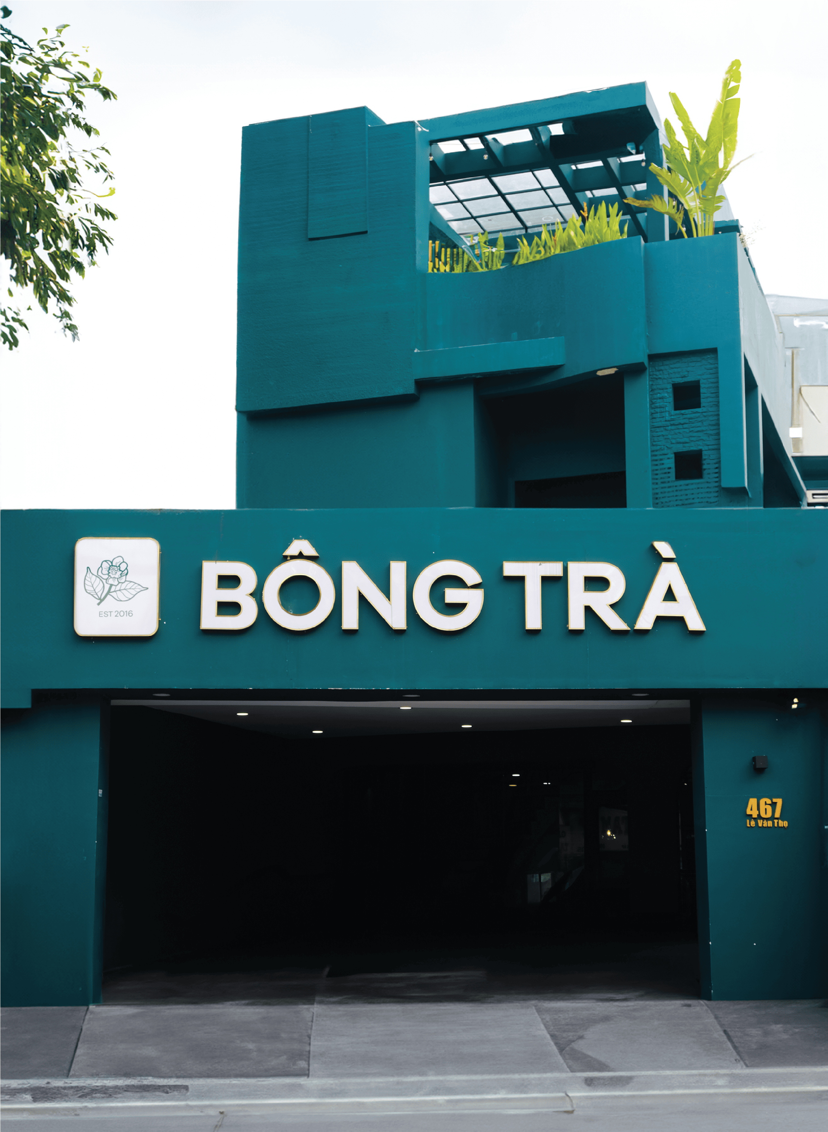 H&agrave;nh tr&igrave;nh B&ocirc;ng Tr&agrave; 2024