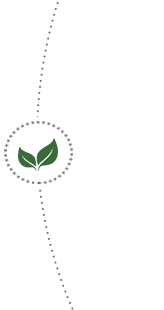 Đường mốc thời gian (tr&aacute;i)