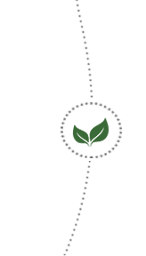 Đường mốc thời gian (phải)