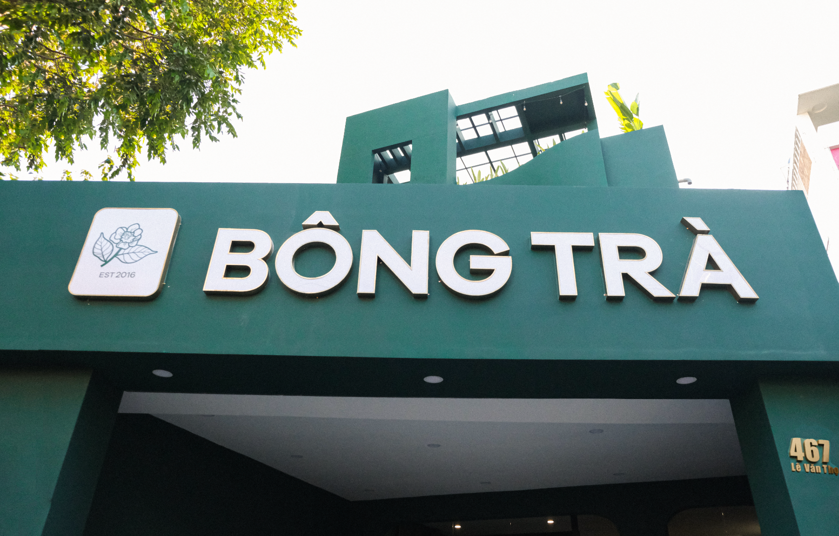 B&ocirc;ng Tr&agrave; L&ecirc; Văn Thọ