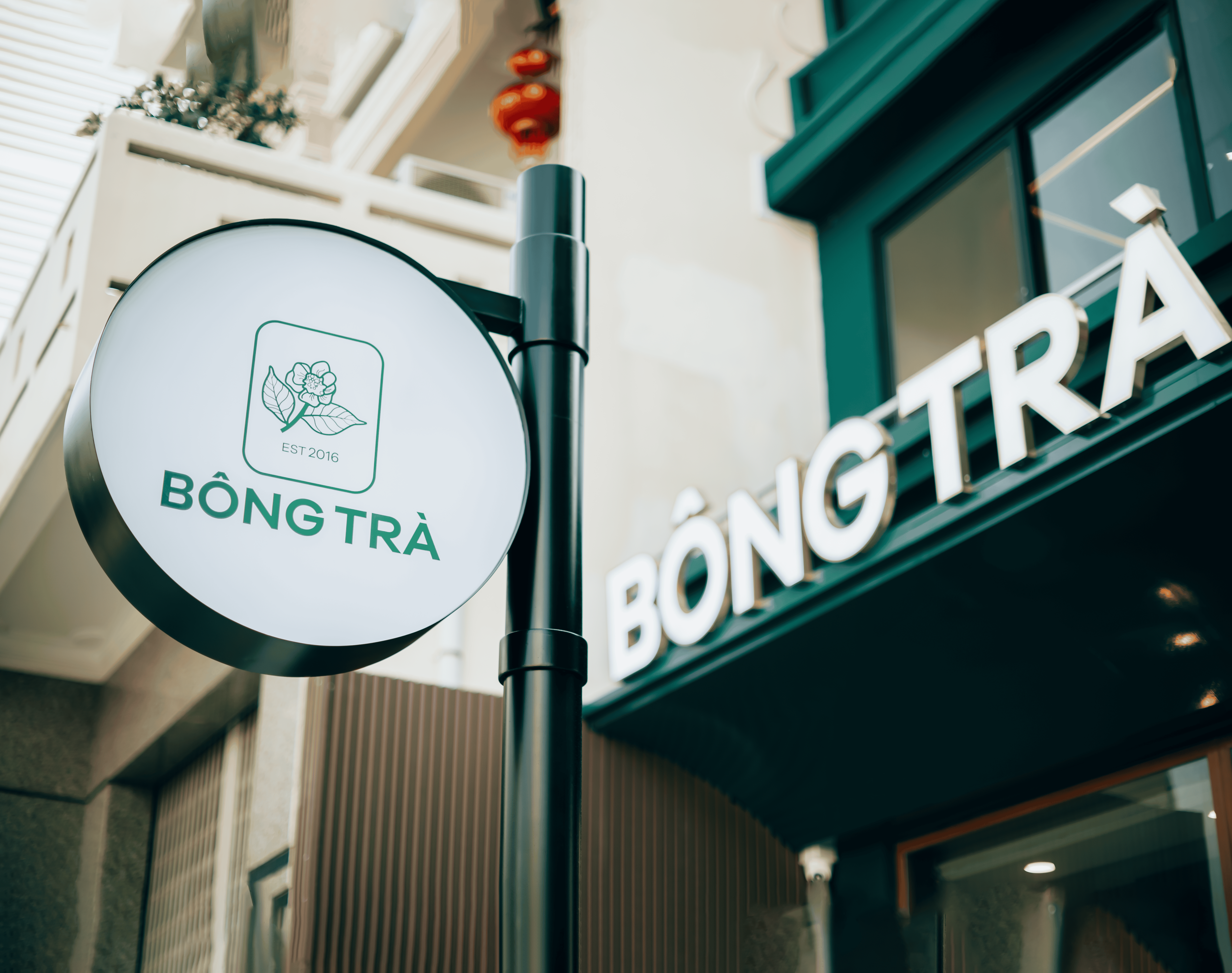 B&ocirc;ng Tr&agrave; Lũy B&aacute;n B&iacute;ch