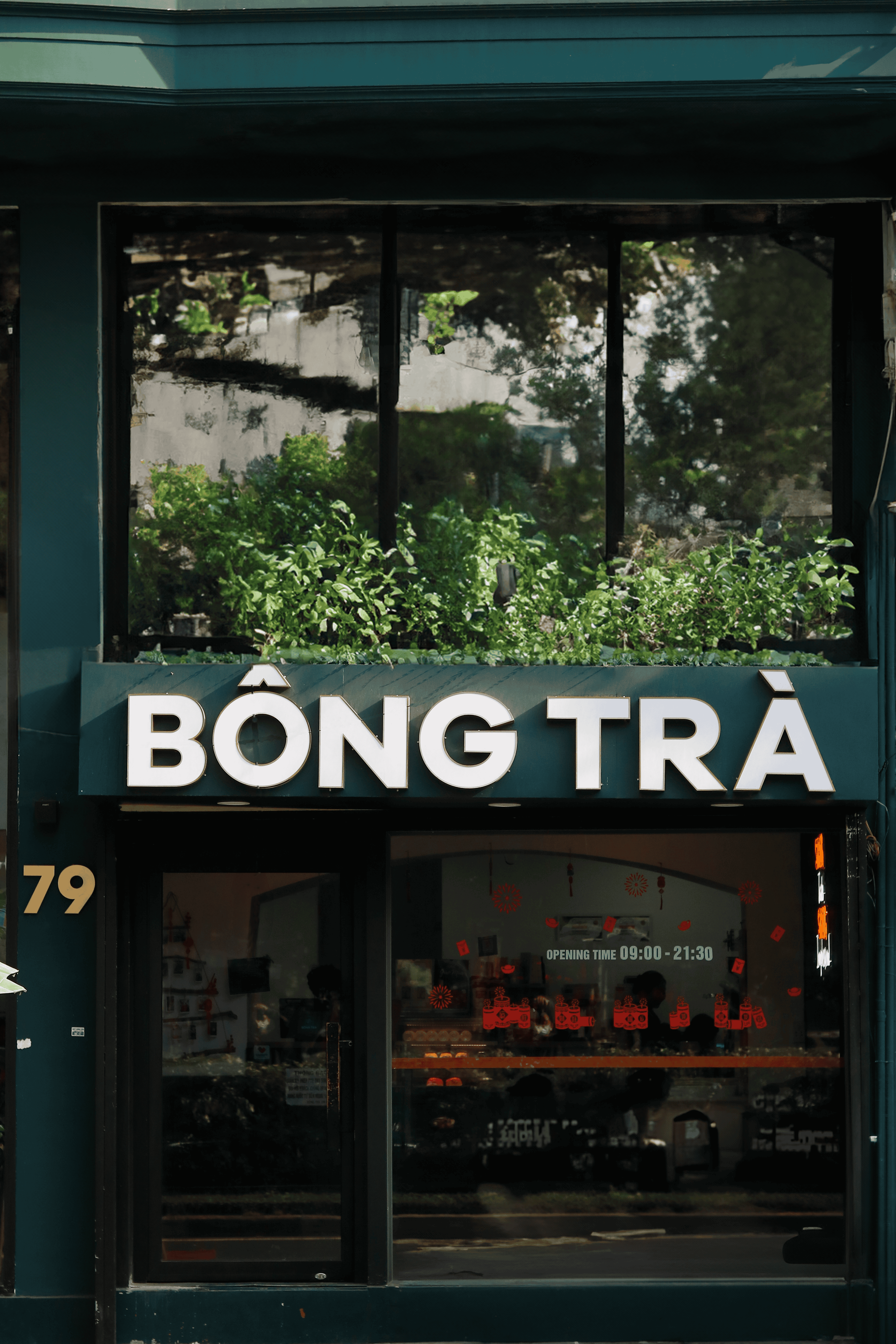 B&ocirc;ng Tr&agrave; B&agrave;u C&aacute;t